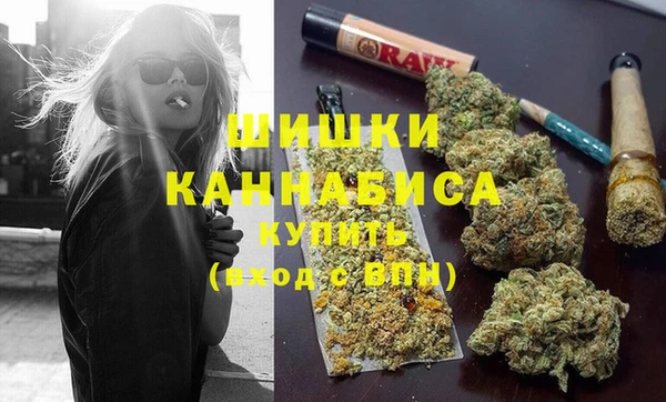 PSILOCYBIN Балахна
