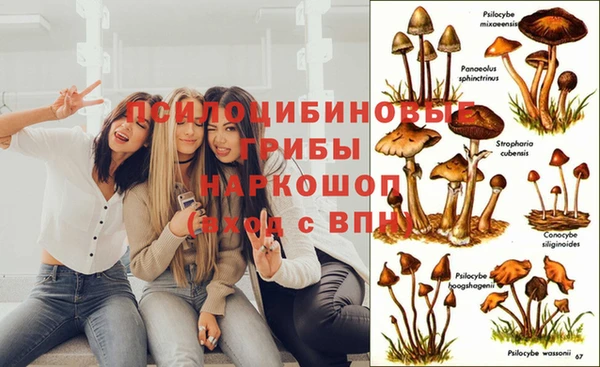 apvp Беломорск