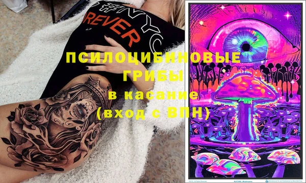 apvp Беломорск